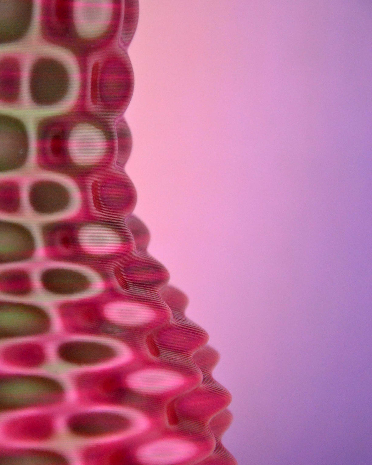 Hypno Vase