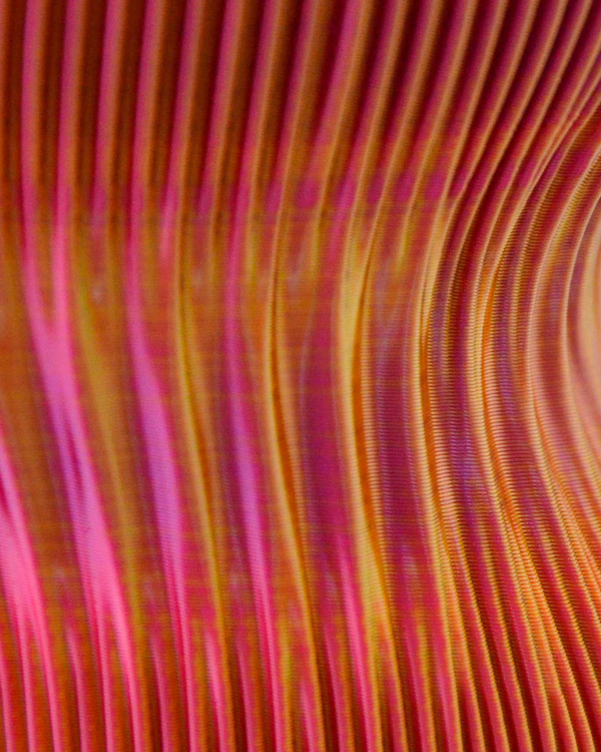 Close-up of pink and orange striped vase texture