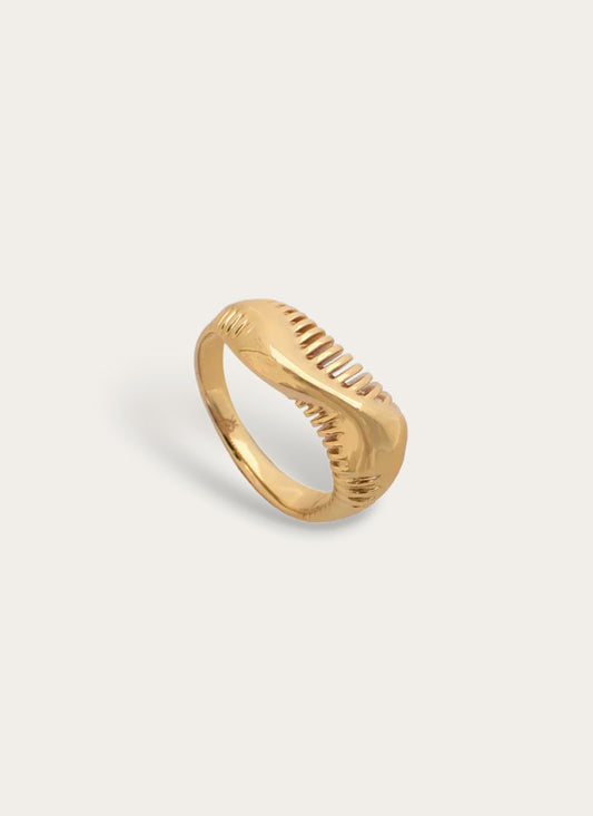 Akhenaton Ring